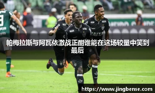 帕梅拉斯与阿瓦依激战正酣谁能在这场较量中笑到最后